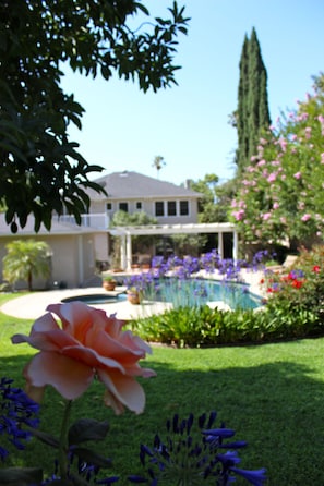 Un patio trasero residencial con piscina, rosal y un árbol alto.