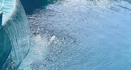 1922 Grand Italian Revival Home in Historic Pasadena Landmark District!!