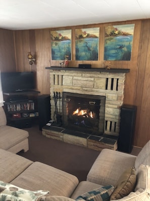 Televisie, een open haard, een dvd-speler en een filmbibliotheek