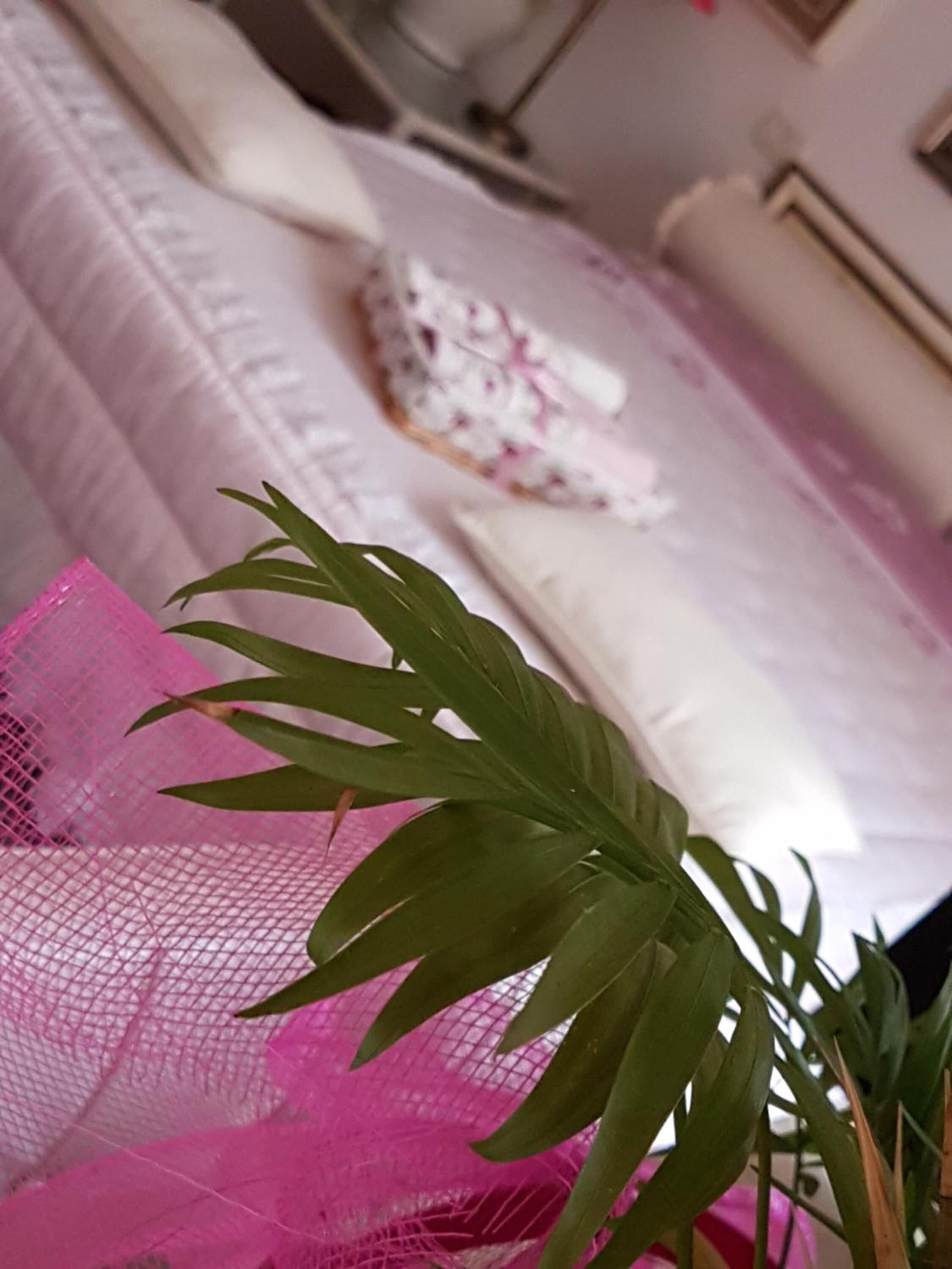 Draps italiens Frette, couette en duvet d'oie, bureau, Wi-Fi gratuit