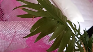 A bed with a white and pink bedspread, a white pillow, and a green plant in the foreground. - B&B La Delice (Dalmine)