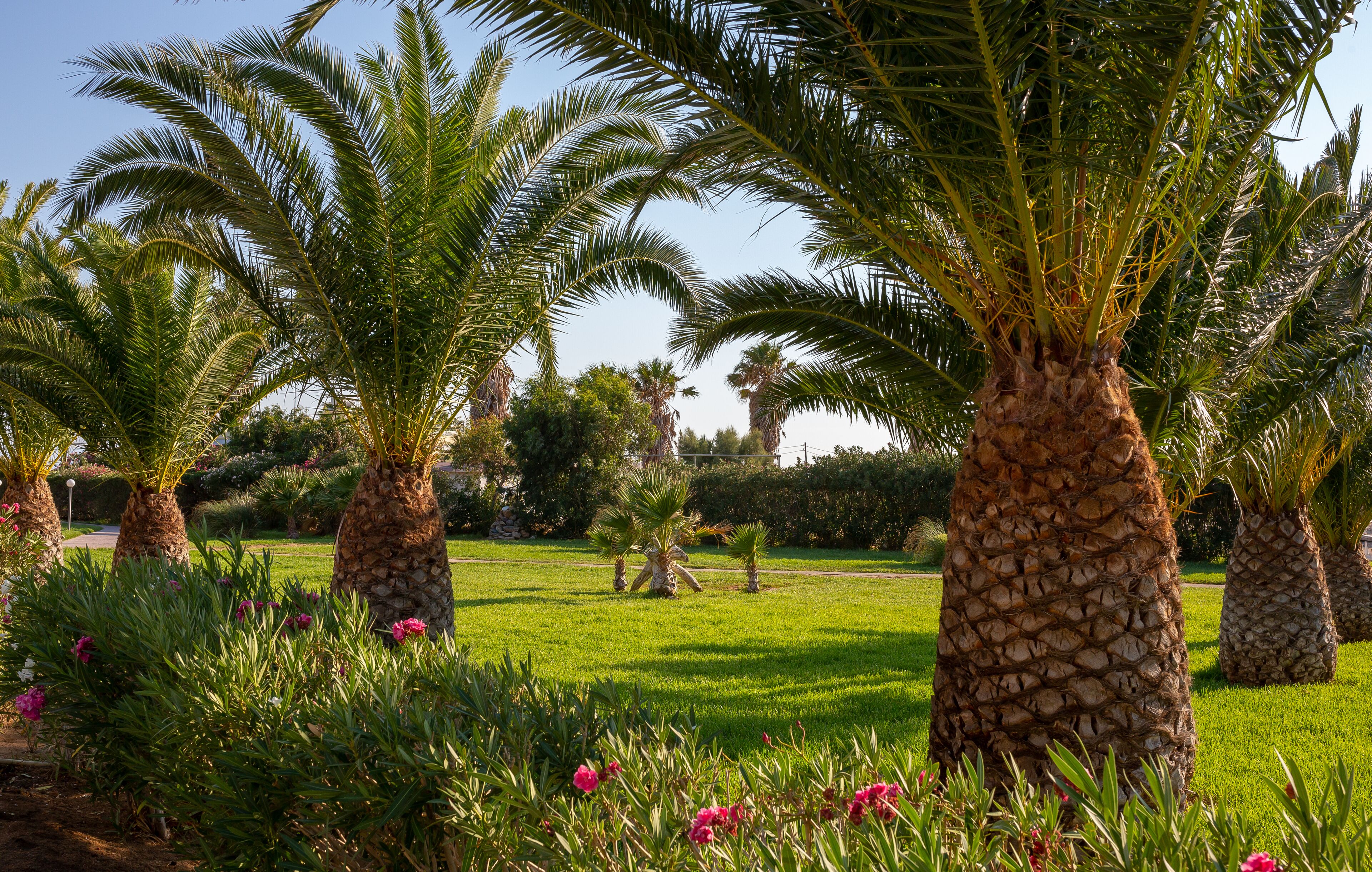 Foto - Akti Beach Club