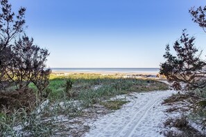 Beach - Charming Studio Apt E / Steps to Beach & Dining (Saint Simons Island)