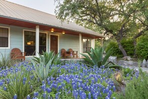 Una casa con porche, rodeada de un jardín lleno de flores azules.