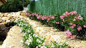 Un jardín con flores rosas, un muro de piedra y un seto verde.