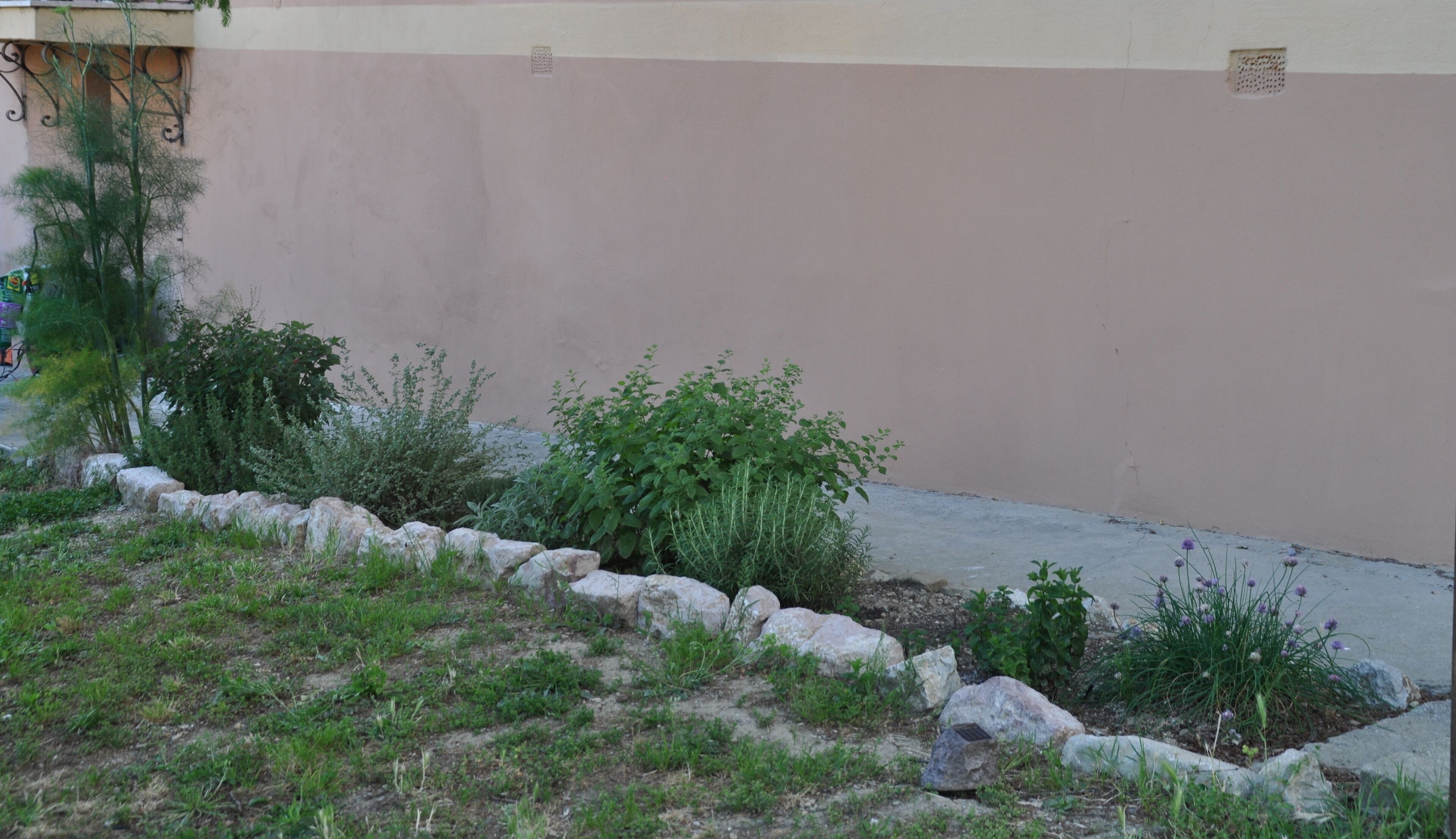 Our herbs: parsley, sage, rosemary and thyme...