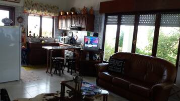 TV, fireplace
