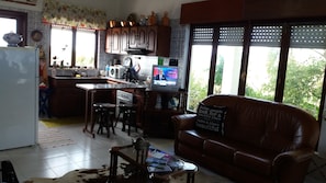 Televisión, chimenea