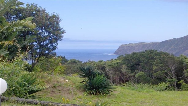 A coastal landscape with a view of the ocean, dense greenery, and a clear sky. - HOUSE COAST, on Faial Island, Azores (HORTA)