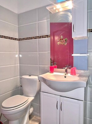 Duschwanne, Haartrockner, Handtücher, Seife