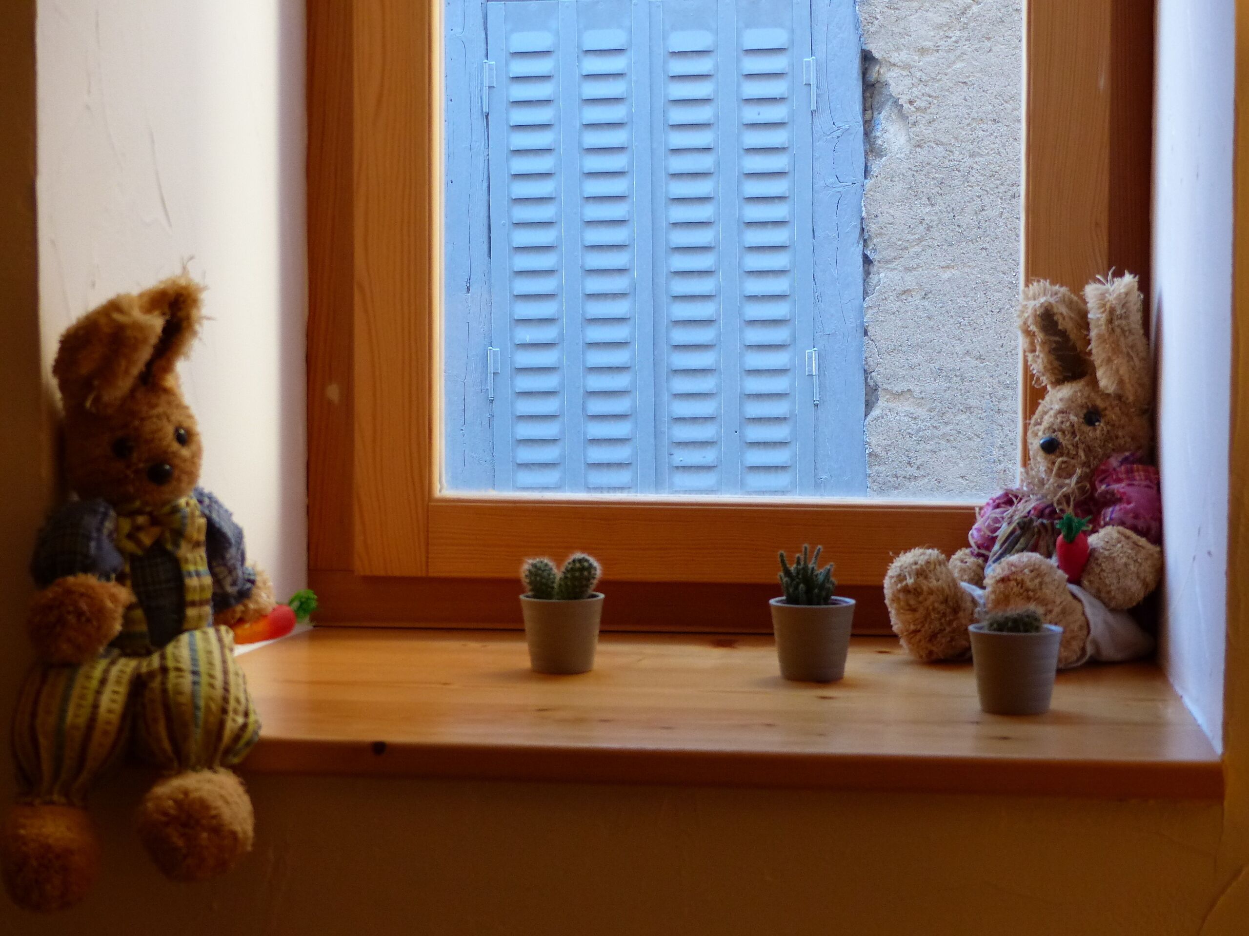A window with shutters, a teddy bear, and three small potted plants on a wooden ledge.