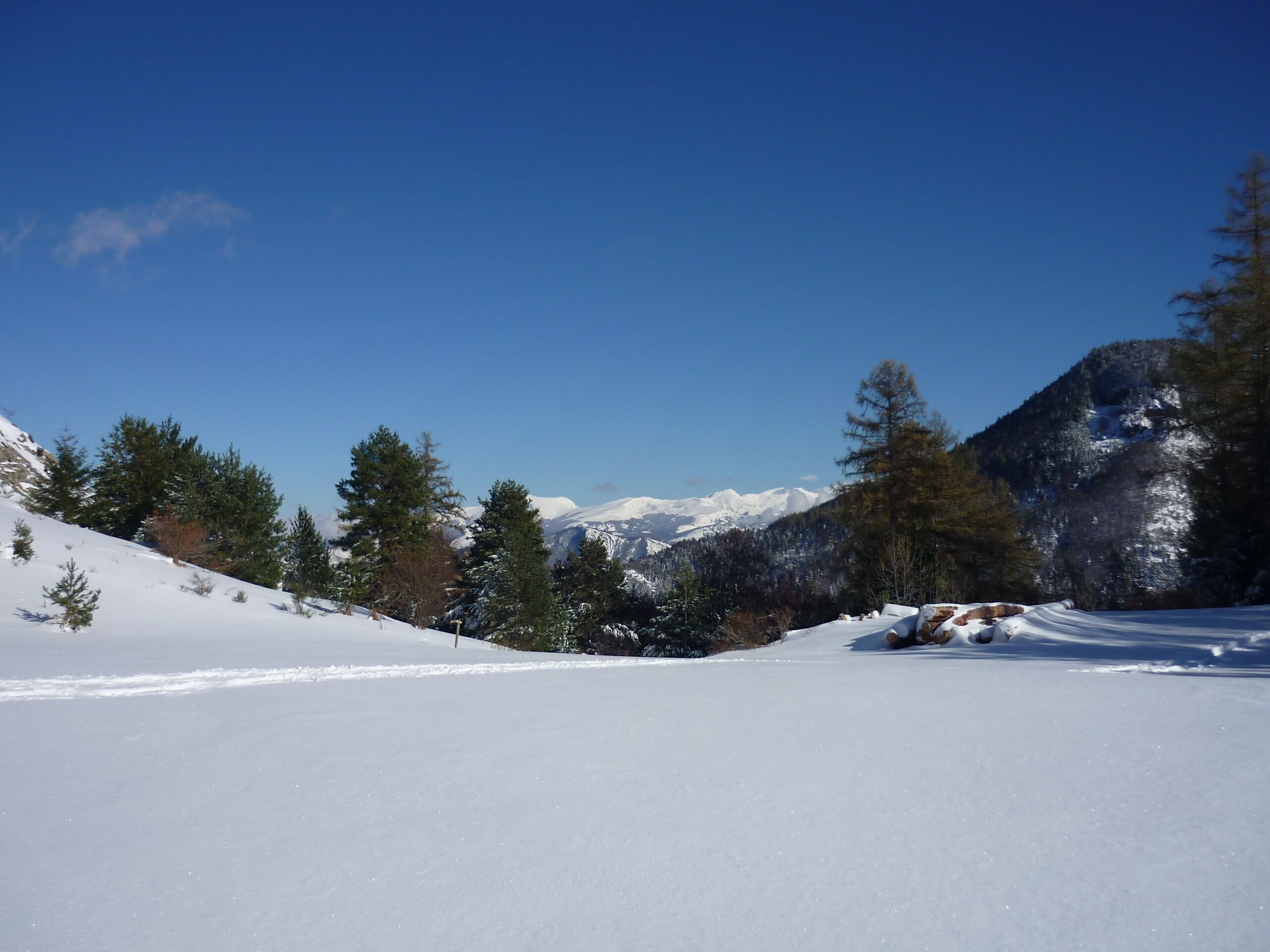 Paisaje nevado con montañas al fondo y árboles en primer plano.
