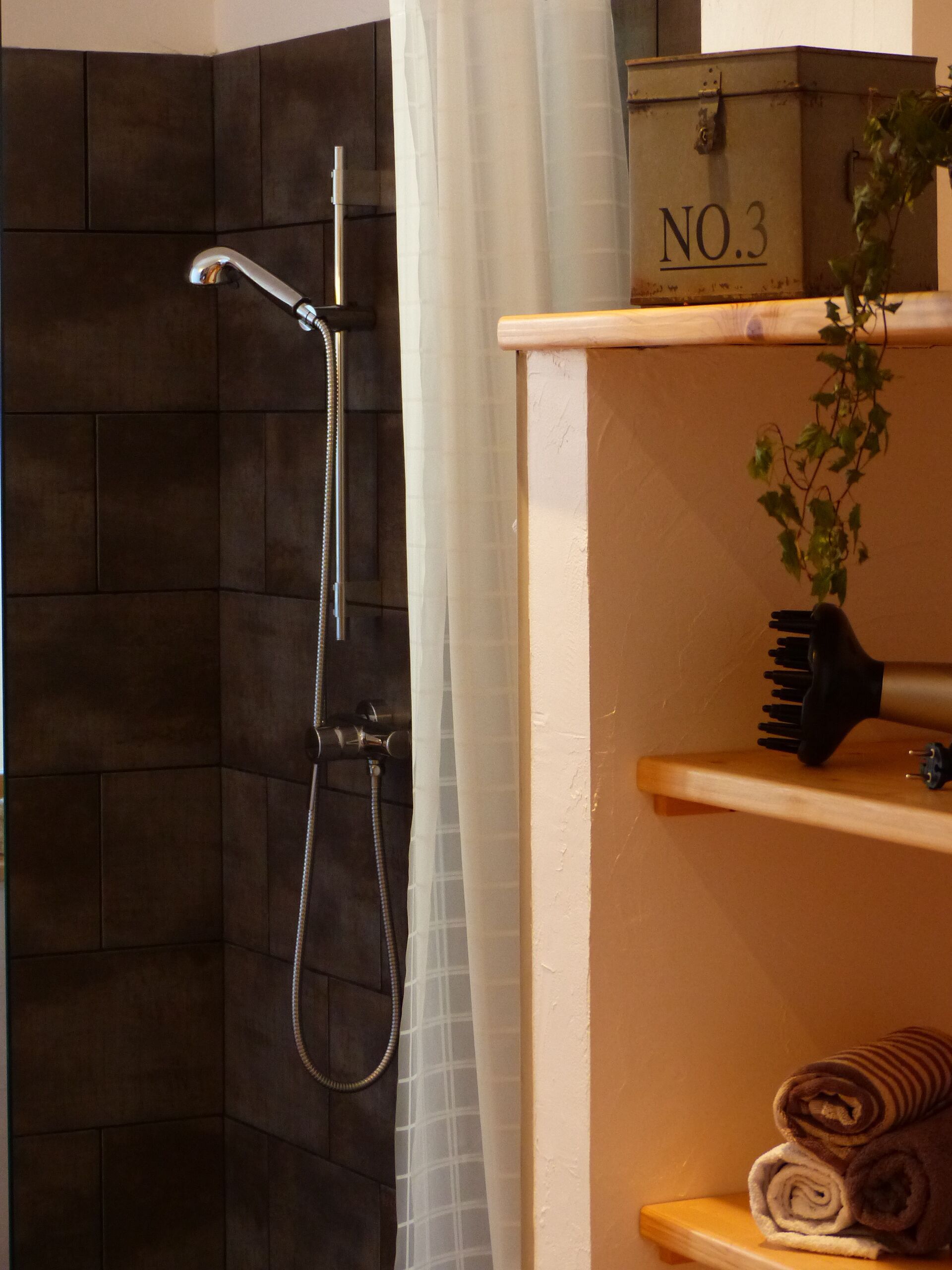 Shower, hair dryer