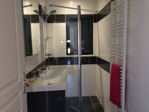 Shower, hair dryer, towels, soap