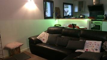TV, DVD player, books, music library