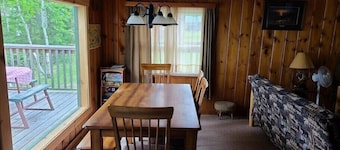 Bayview Fireside Cabin  -Pontoon Rental Available-