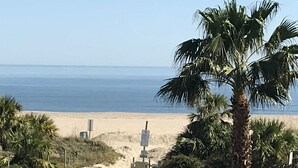 A beach view with a white car parked on the road, palm trees, and a clear sky. - The Ultimate In Beach Living! Ocean View, Steps to Beach,  Sleeps 8. Elevator! (Tybee Island)