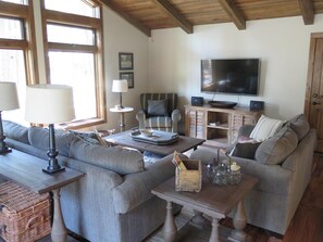 TV connectée, cheminée, jeux vidéo, lecteur de DVD