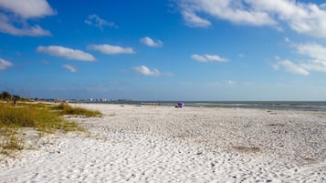 Camastros y toallas de playa