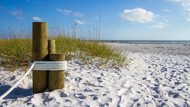 Une plage de sable avec des poteaux en bois et une barrière faite de cordes.