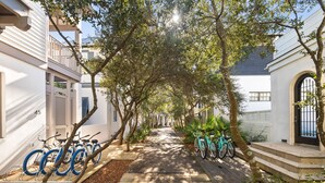 A tree-lined pathway between buildings with bicycles parked on the side.