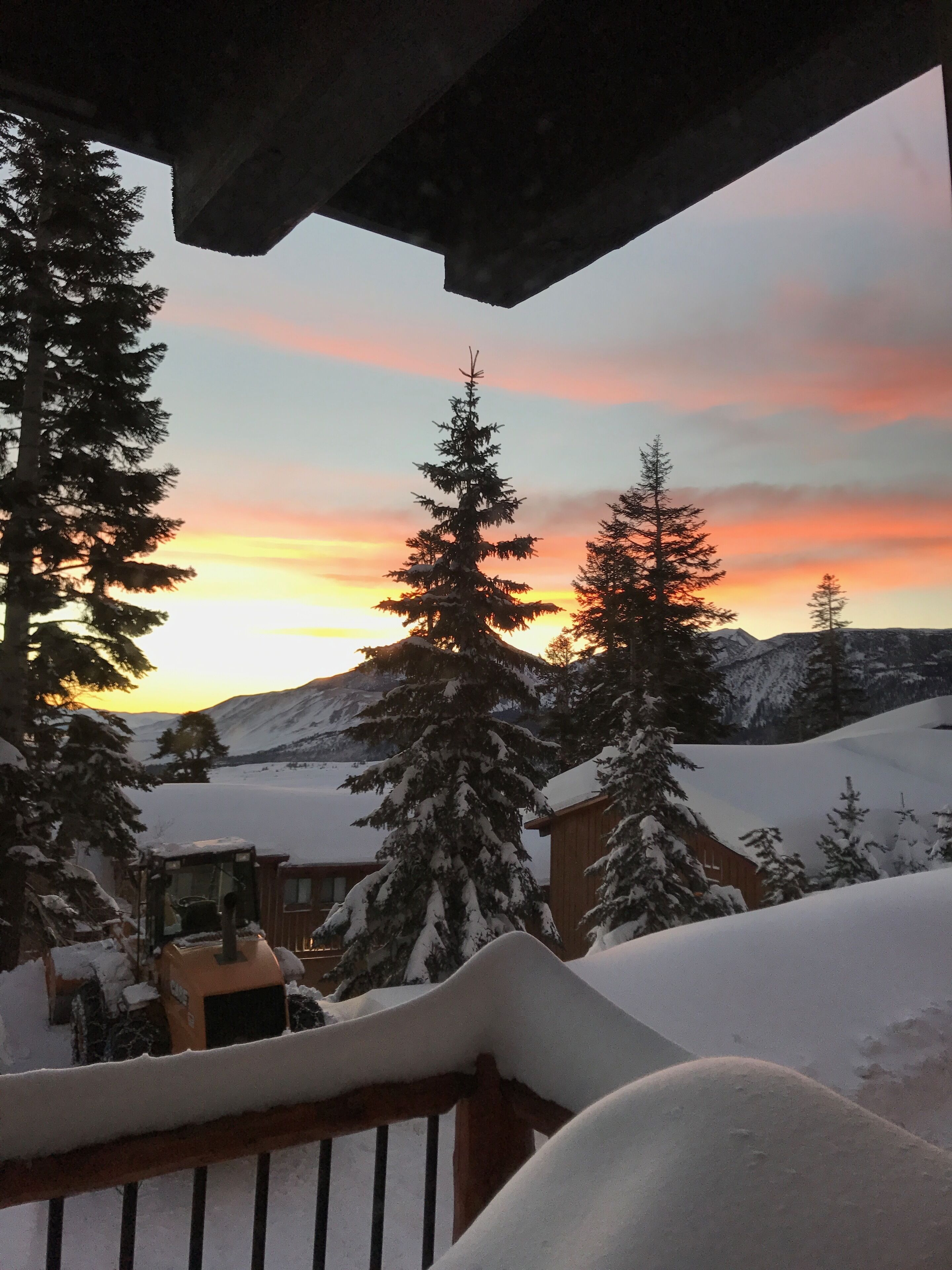 Pet friendly ski in and out with stunning views!