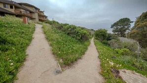 Property grounds - Seascape Ocean View Condo (Aptos)