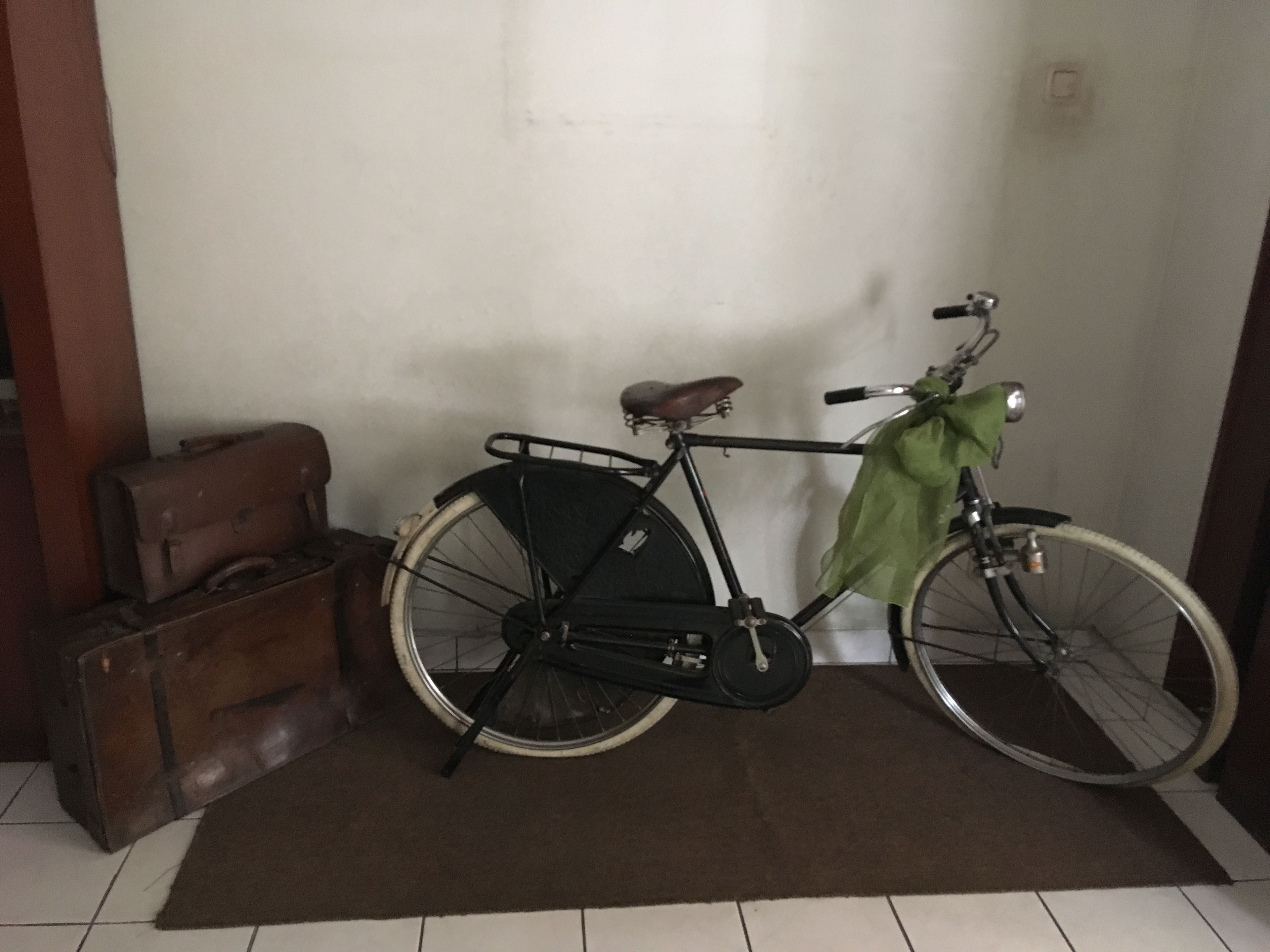 A bicycle leaning against a wall in a room with a brown rug and a suitcase.