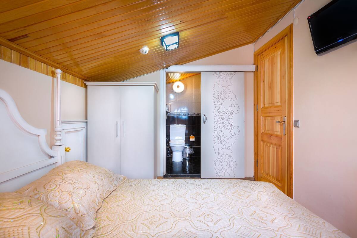 Une chambre à coucher comprenant un lit, une armoire, une salle de bain avec des toilettes et un téléviseur fixé au mur.