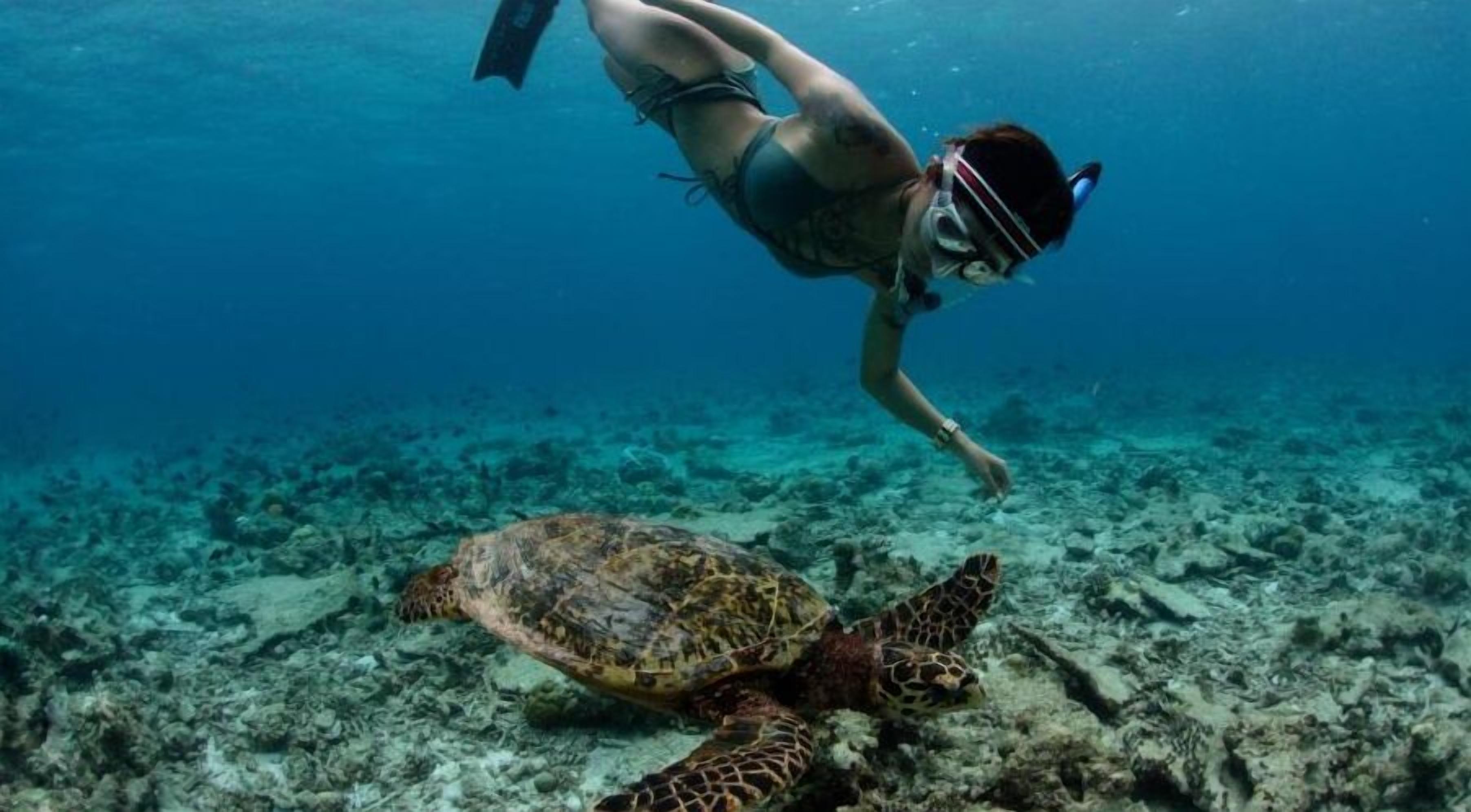 Foto - Sunrise by white sand dhigurah