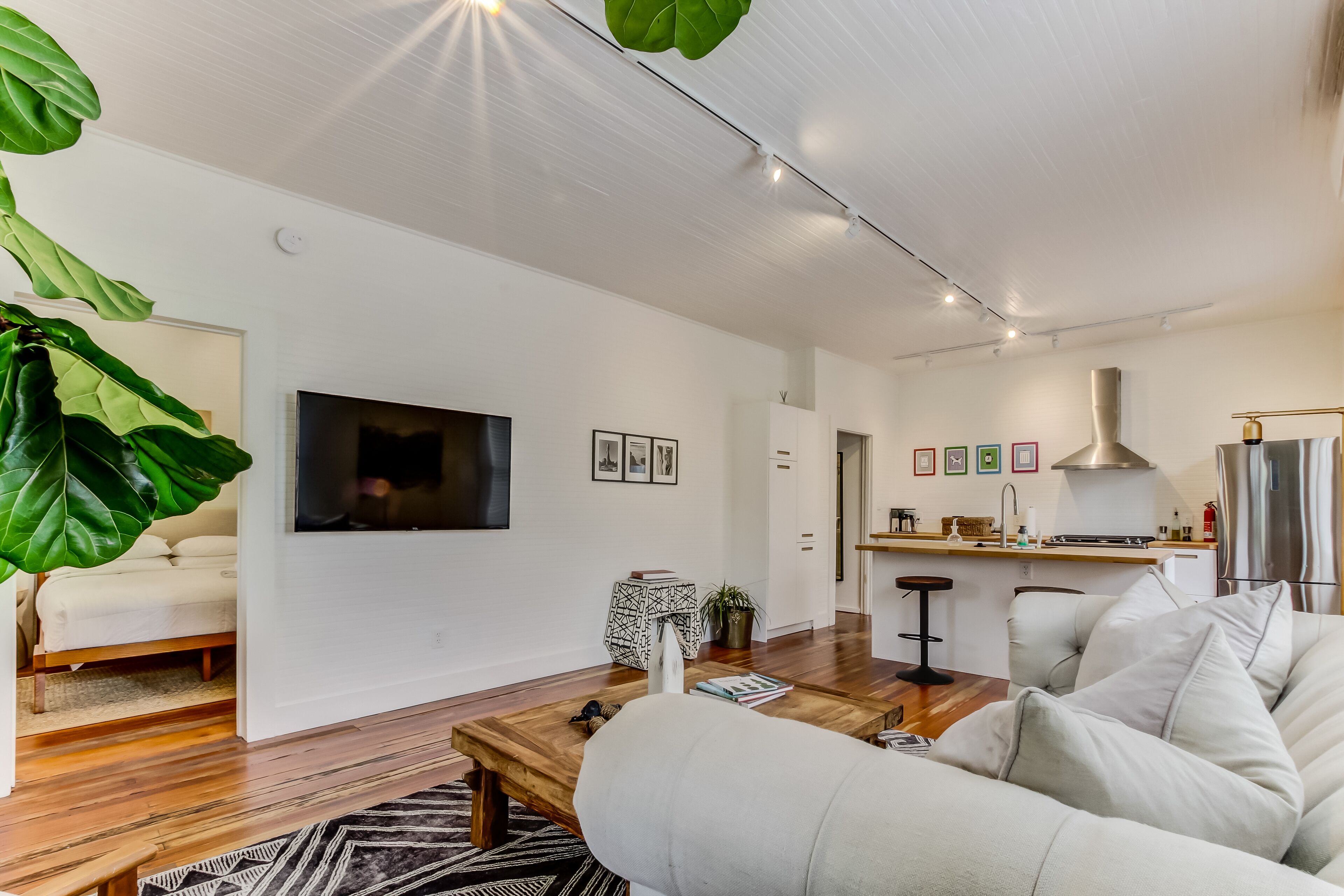 A modern living room with a sofa, coffee table, and large plant. There is a kitchen area with a stove and refrigerator in the background.
