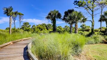 Overnatningsstedets område
