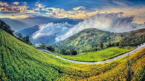 Une vue panoramique d’une vallée verdoyante, avec des champs en terrasses et une route sinueuse.
