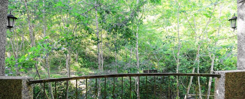 A stone bridge with a metal railing in a forested area.