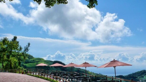 Une terrasse agrémentée de tables et de parasols, offrant une vue sur un paysage vallonné.