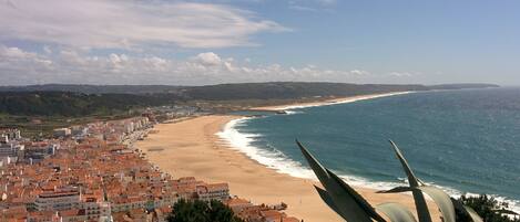 Perto da praia, toalhas de praia