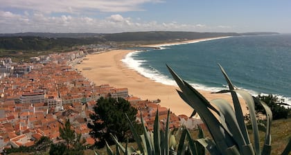 CASA LIMAO upouusi talo lämmitetty uima-allas, lähellä merta, dyynit, metsä.