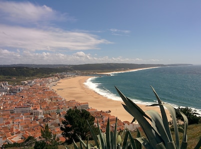 CASA LIMAO (2015) heated pool, near the sea, dunes, forest.