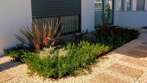 A modern building with a large window and a closed shutter, surrounded by a gravel pathway and various plants.