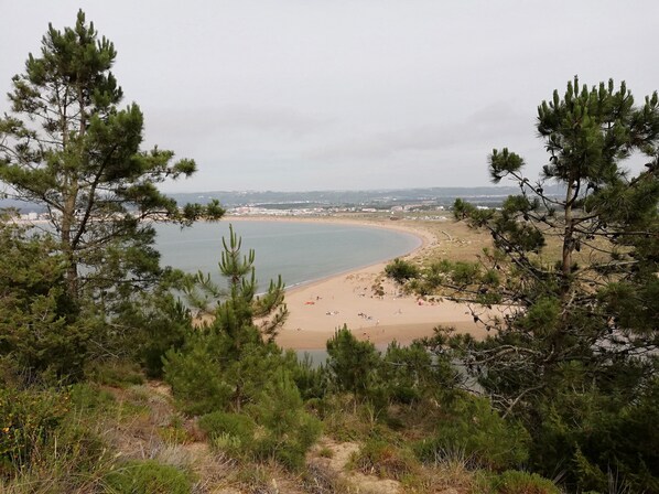 A coastal landscape with a sandy beach, dense pine trees, and a view of a distant shoreline with buildings.