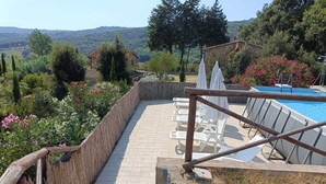 A poolside area with a stone pathway leading to white lounge chairs and umbrellas, surrounded by lush greenery and a view of hills. - Tuscany: House "Old Abbey" among the olive trees with pool (Monteverdi Marittimo - PI -)