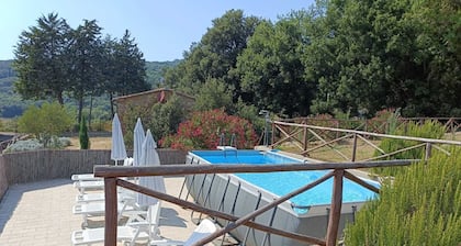 Toskana: Haus "Alte Abtei" unter den OlivenbÀumen mit Pool