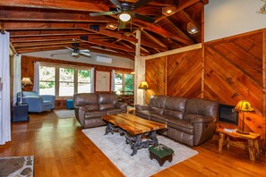 TV connectée, cheminée, lecteur de DVD, livres