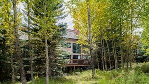 A cabin surrounded by tall trees and dense foliage.