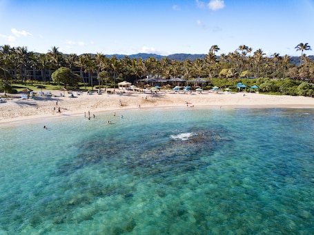 Sulla spiaggia, lettini da mare, teli da spiaggia. Beach Level Studio con vista diretta sull'oceano Villa 105 a Turtle Bay!