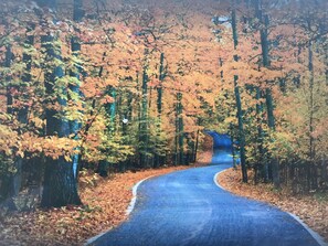 Imagen sin descripción, 4 de 38, botón