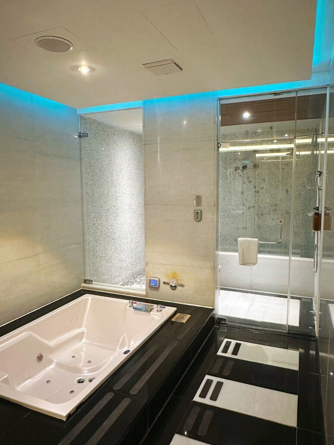 Separate bathtub and shower, jetted bath, free toiletries, hair dryer
