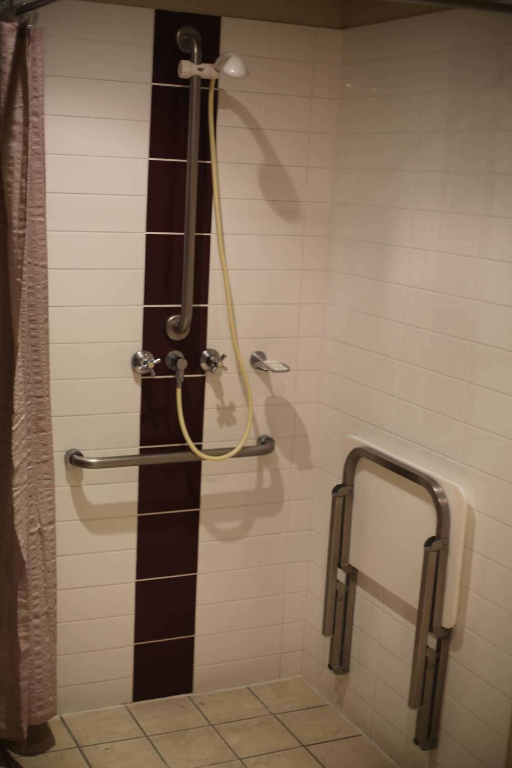 A shower area with a handrail, a grab bar, and a showerhead.
