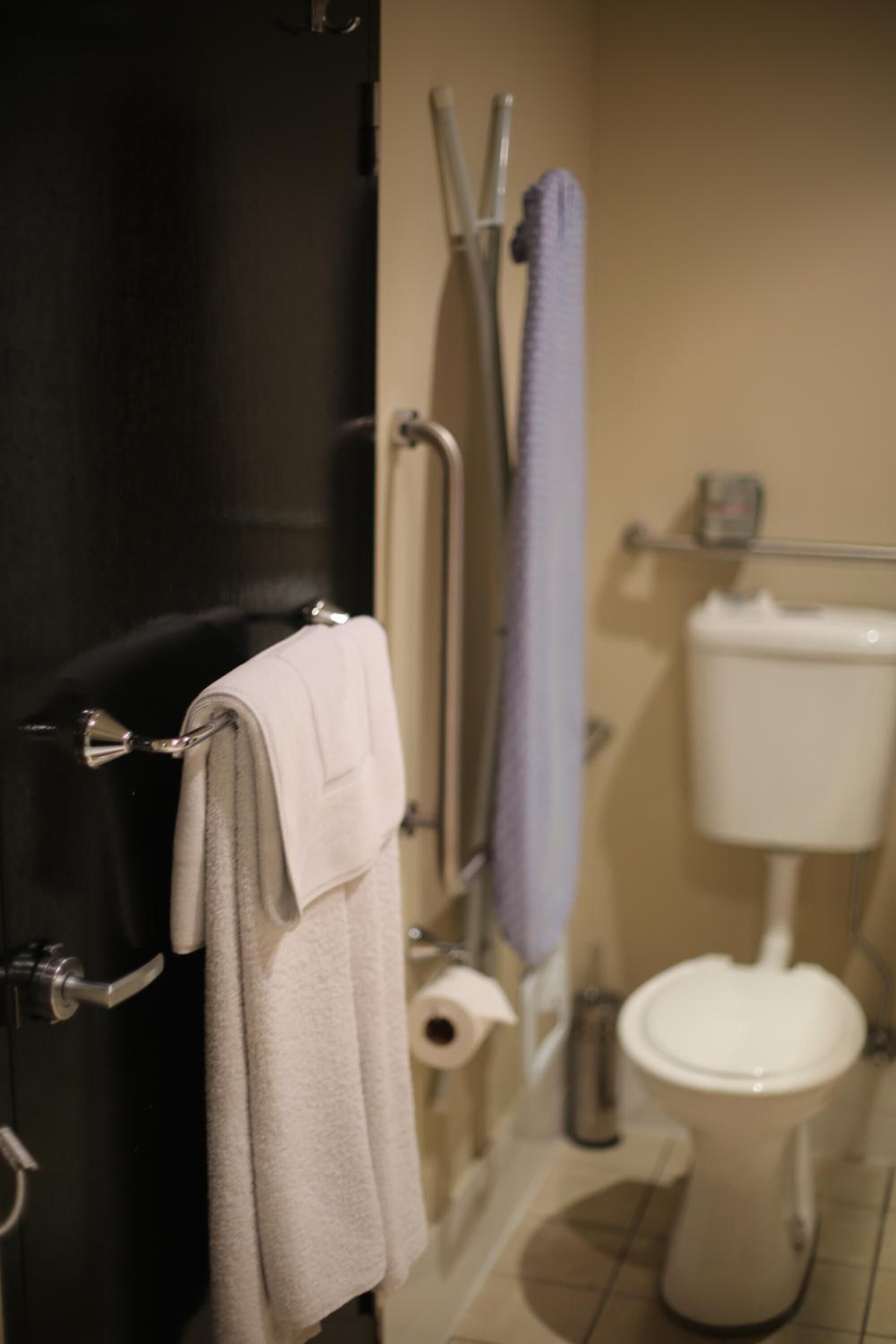 A bathroom with a toilet, a towel rack, and a shower area.