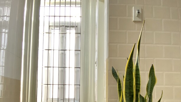 Una habitación amplia con un gran ventanal, una planta en maceta y suelo de baldosas.